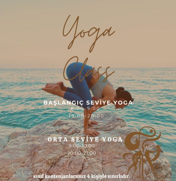 WhatsApp Image 2025-02-05 at 19.45.52